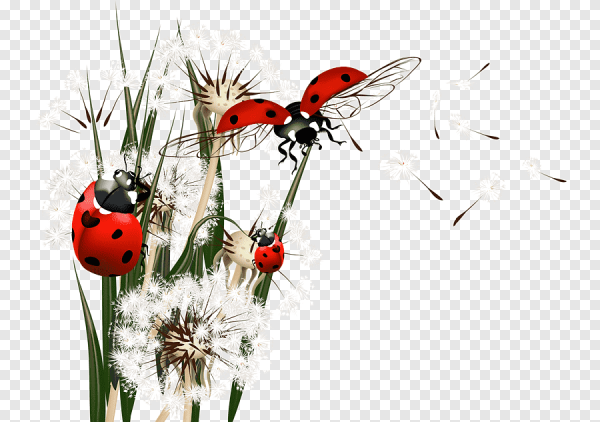 Рамка красивая с Божьей коровкой