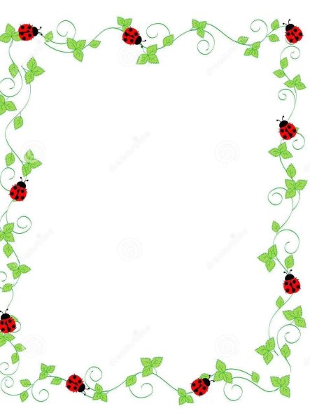 Рамка насекомые для текста