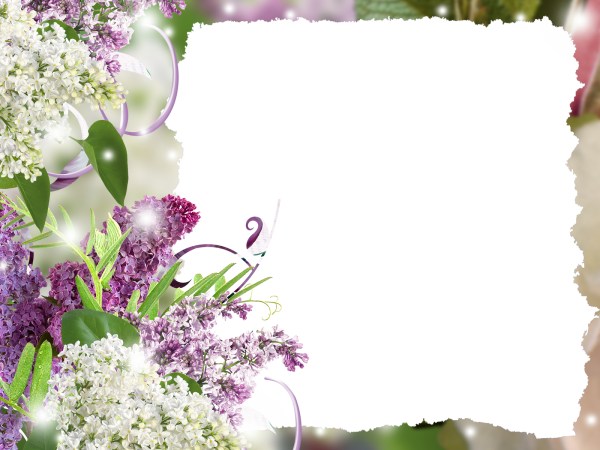 Рамка сирень
