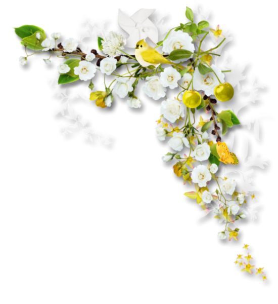 Цветы уголок