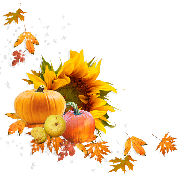 Осенняя тыква на прозрачном фоне