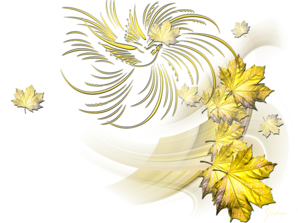 Осенние золотые листья на прозрачном фоне