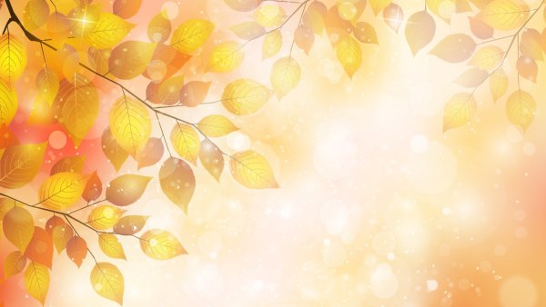 Фон для презентации осень