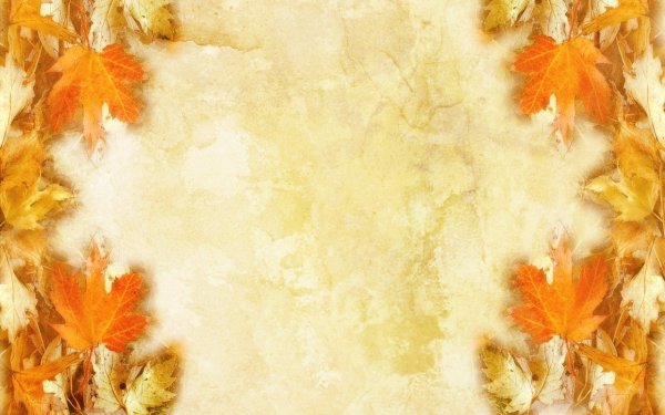 Красивый фон с осенними листьями