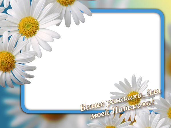Фоторамка с ромашками