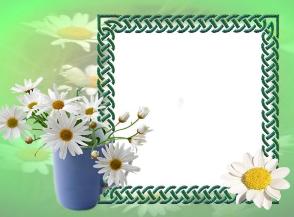 Фоторамка с ромашками