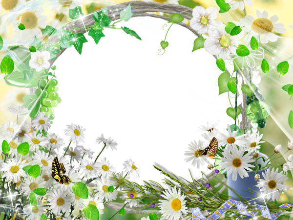 Фоторамка с ромашками