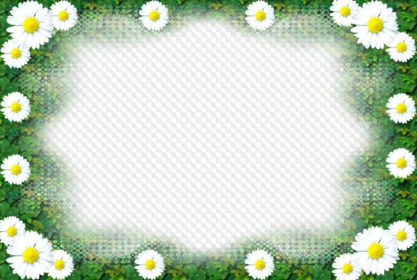 Рамочка с ромашками