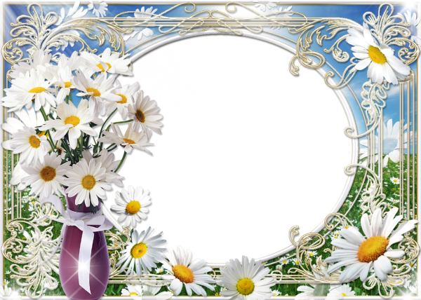 Рамка ромашки