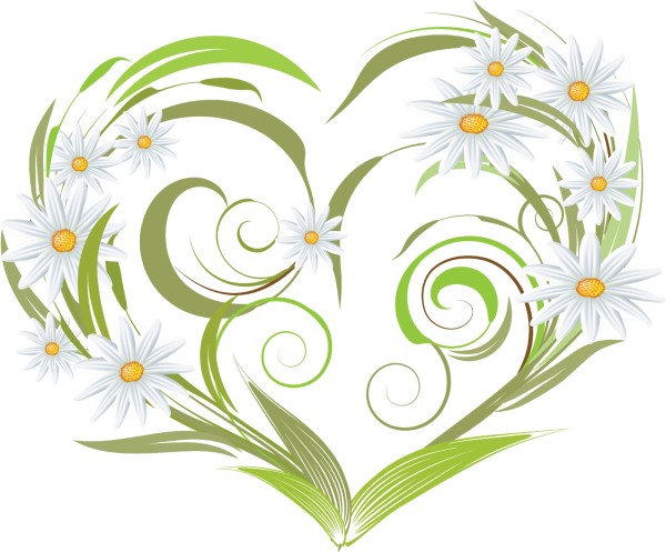 Ромашка символ семьи любви и верности