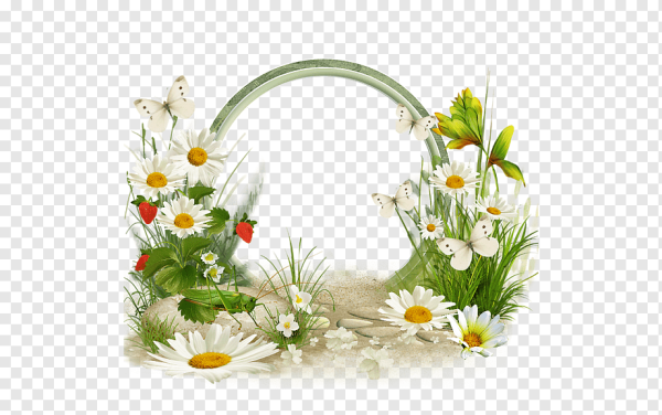 Рамка ромашки
