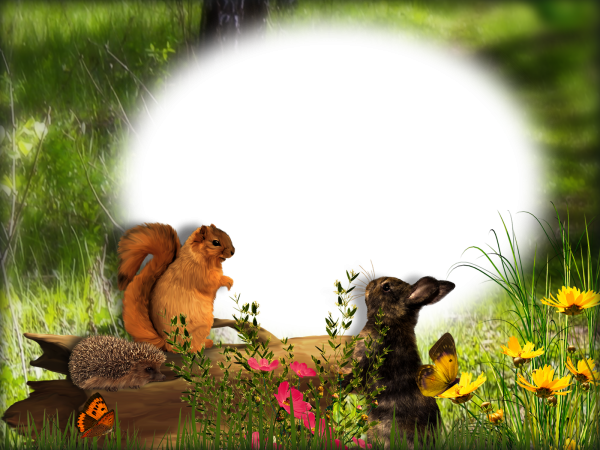 Красивые рамки с природой