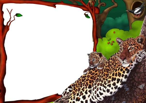 Рамки с животными для оформления текста