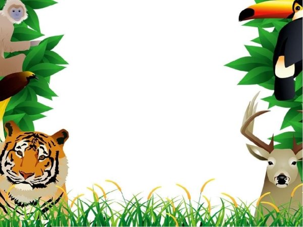 Рамки для проекта про животных