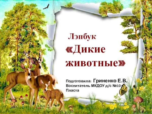 Рамка Дикие животные для детского сада