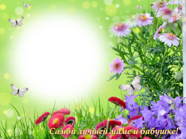 Рамочки для мамочки