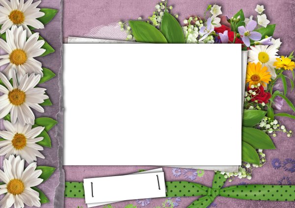 Рамка для фотографий с ромашками