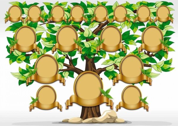 Фон для генеалогического древа