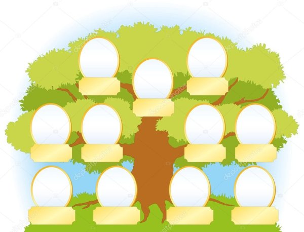 Генеалогическое Древо с пустыми окошками
