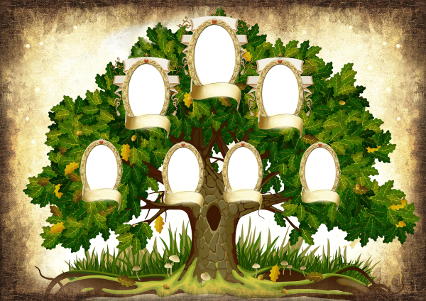 Фоторамка генеалогическое дерево