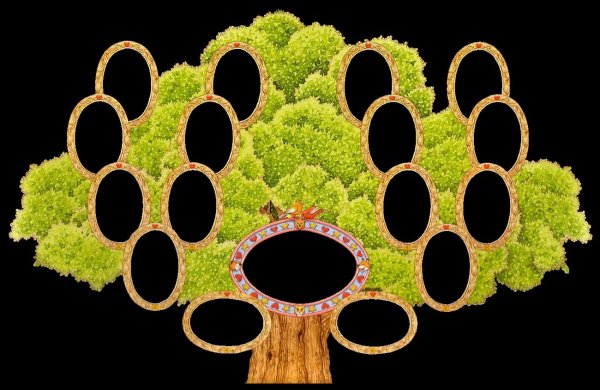 Генеалогия генеалогическое Древо