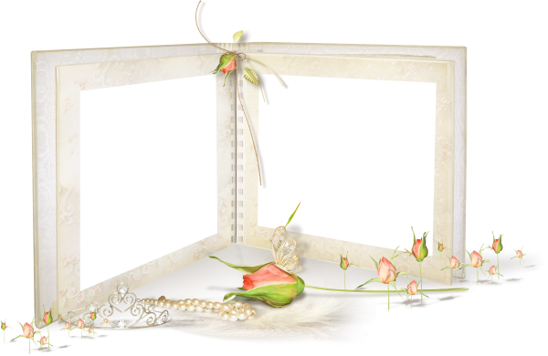 Рамка свадьба книжная