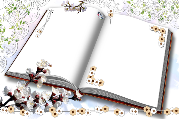 Рамка книги на прозрачном фоне