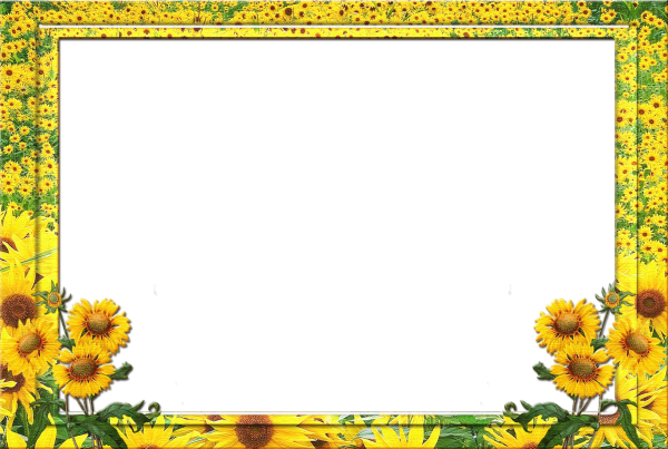 Красивая летняя рамка