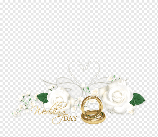 Фоторамки Свадебные кольца