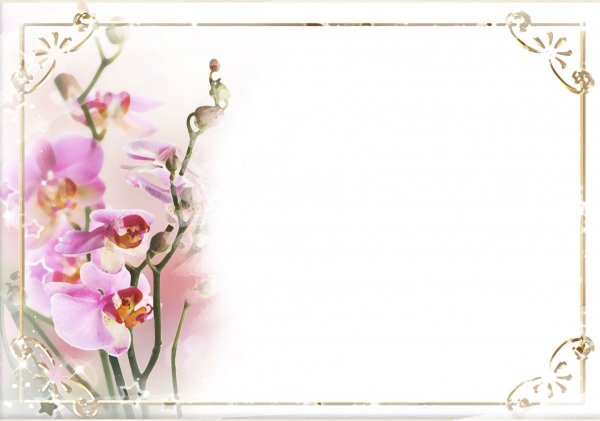 Шаблон открытки для поздравления