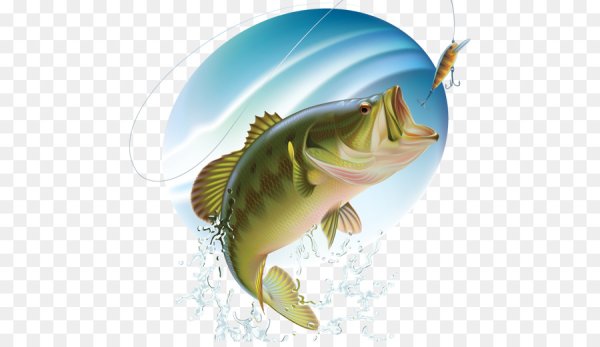 Рыбалка без фона