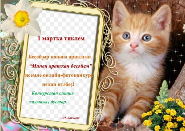 Рамка с котятами