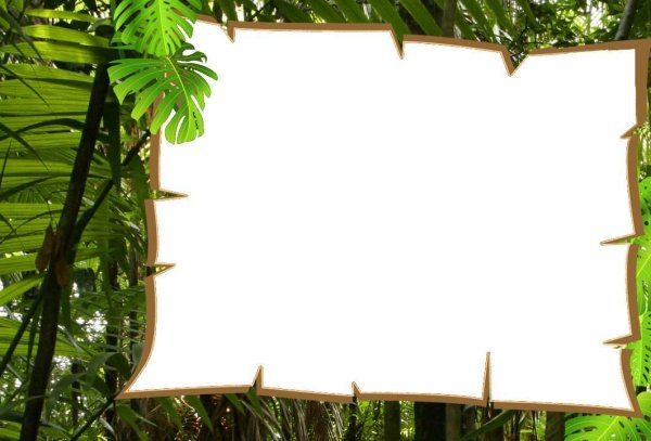 Рамка в стиле джунгли