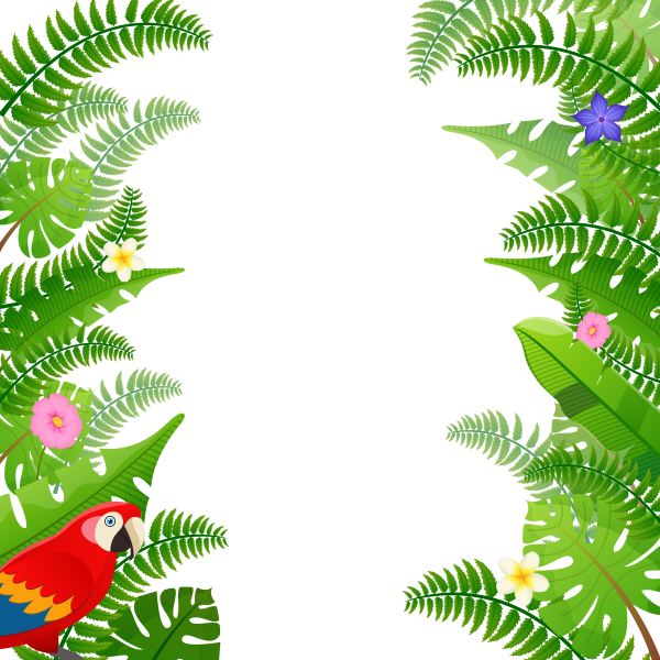 Тропический лес рамка