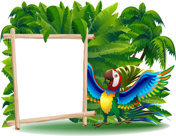 Рамка с попугаем