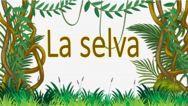 Лиана в джунглях на белом фоне