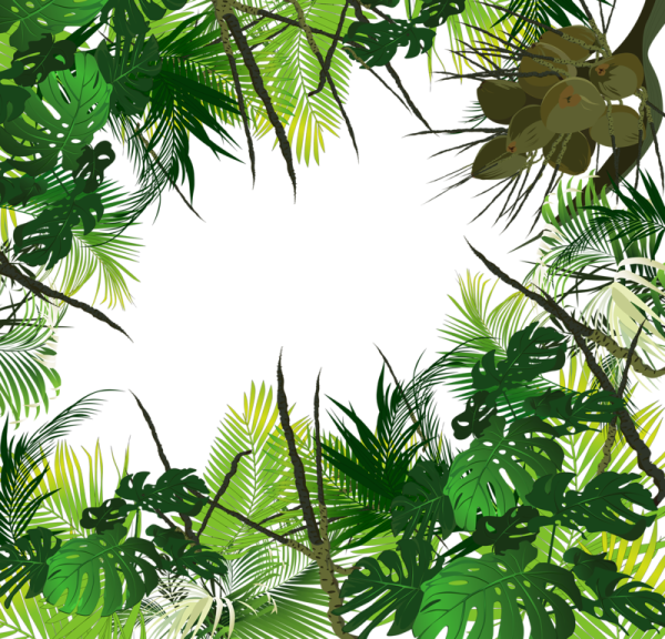 Рамка в стиле тропики
