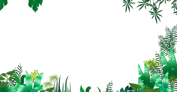 Джунгли на прозрачном фоне