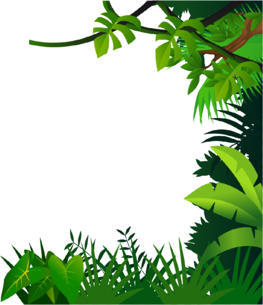 Рамка пальмы