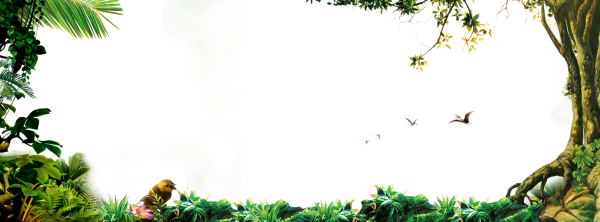 L;eyukbна прозрачном фоне