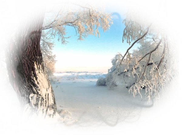 Зимний пейзаж на прозрачном фоне