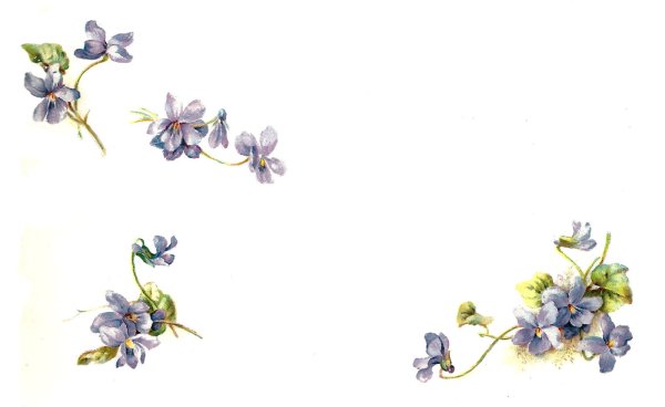 Цветы декупаж на белом фоне