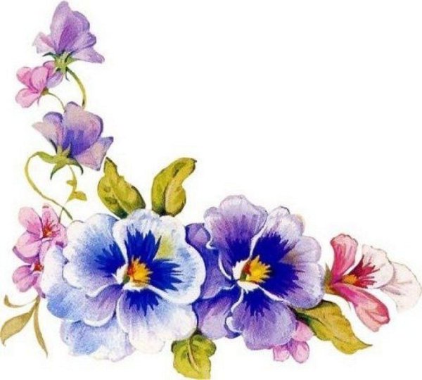 Акварельные цветочные бордюры