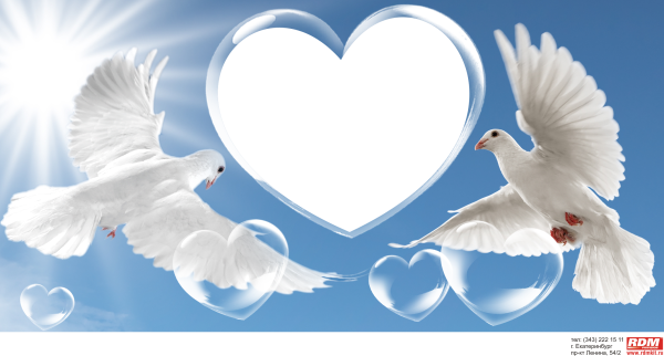 Приглашение с голубями