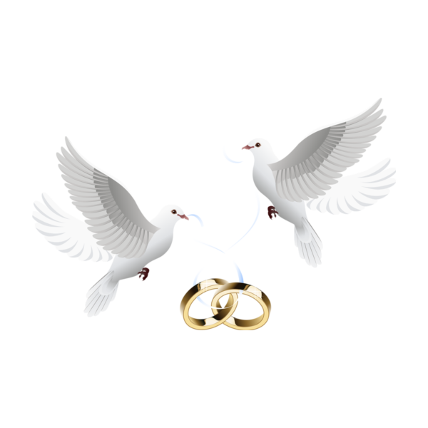 Свадебные голуби на прозрачном фоне