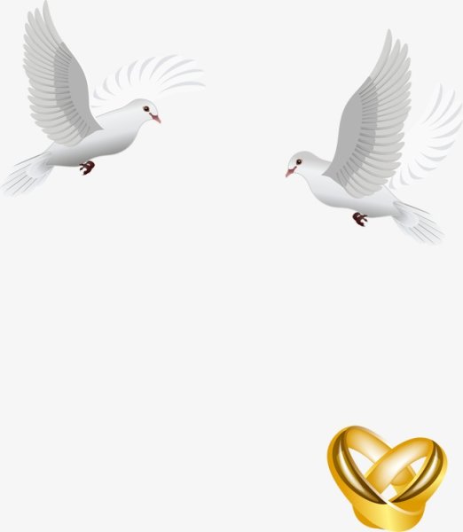 Обручальные кольца с голубями