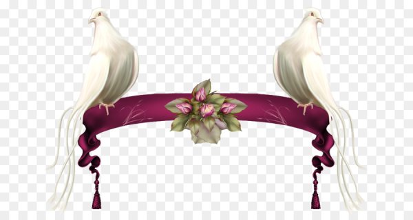 Свадебные голуби с лентой