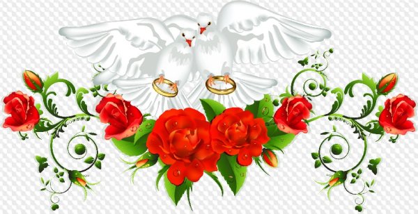 Свадебный орнамент на прозрачном фоне