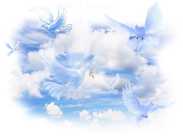 Рамка с голубями