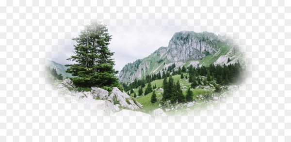 Горы Кавказа на прозрачном фоне